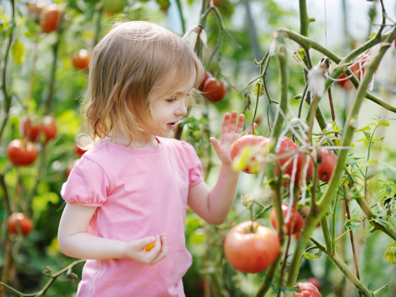 8 tips voor een moestuin met je kleuter